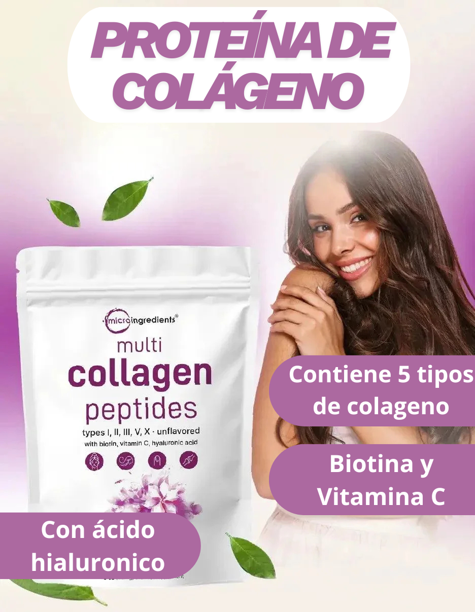 Polvo de proteína de colágeno