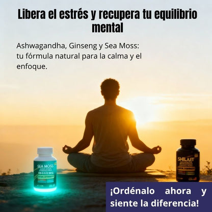 Sea Moss + Shilajit para Energía y Enfoque